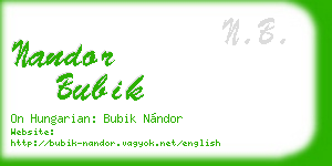 nandor bubik business card